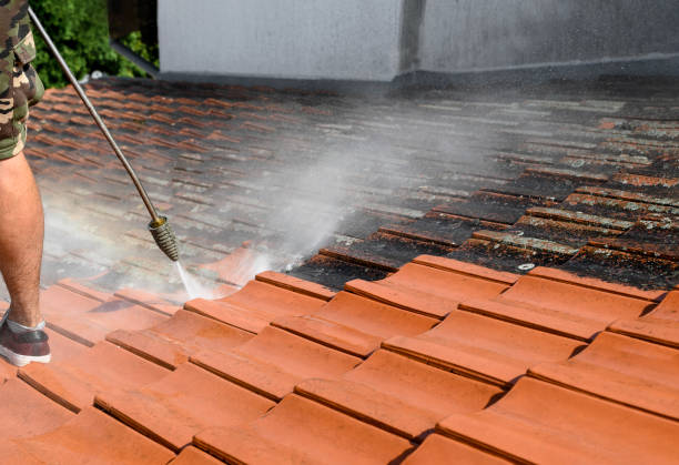 Pressure Washing Services for Businesses in North Hartsville, SC