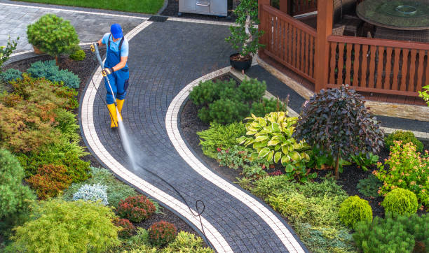 Best Local Pressure Washing Services  in North Hartsville, SC